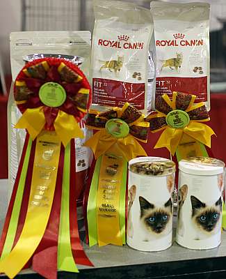 �������� ����� '���-�����-��������' 20-21 �������� 2014 169A1798 copy.jpg